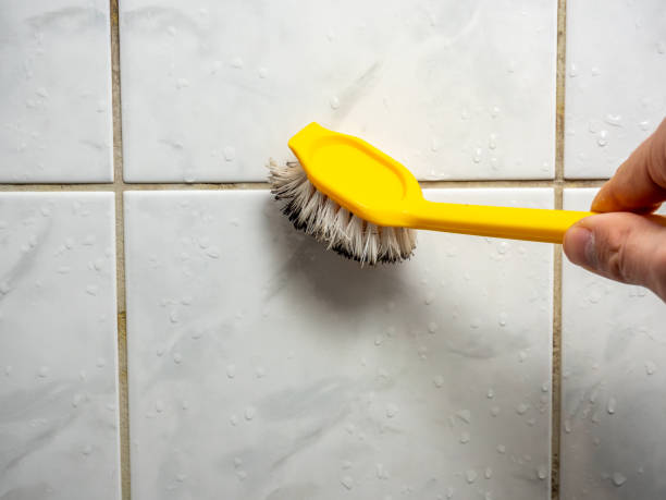 Best Local Mold Removal Service  in Kurtistown, HI
