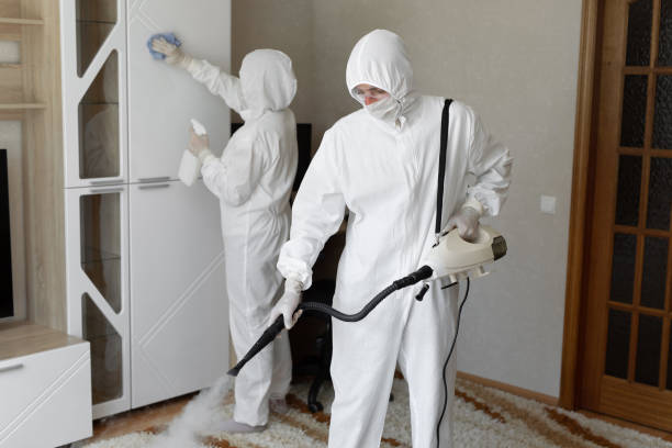 Best Mold Removal Process  in Kurtistown, HI